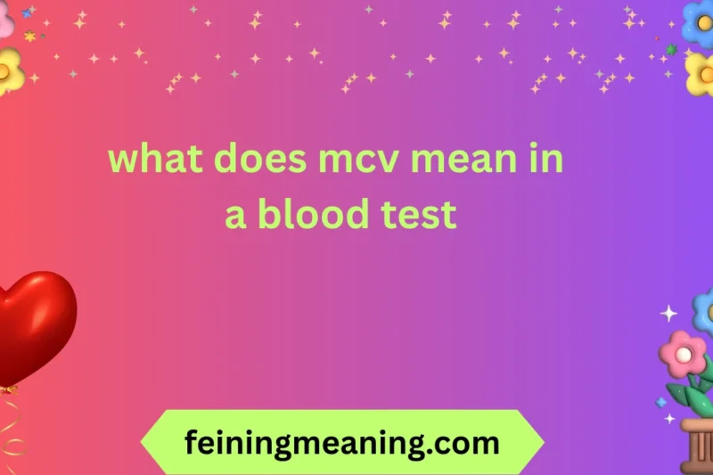 What Does MCV Mean in a Blood Test? Explained Clearly 🔬✨ 2026