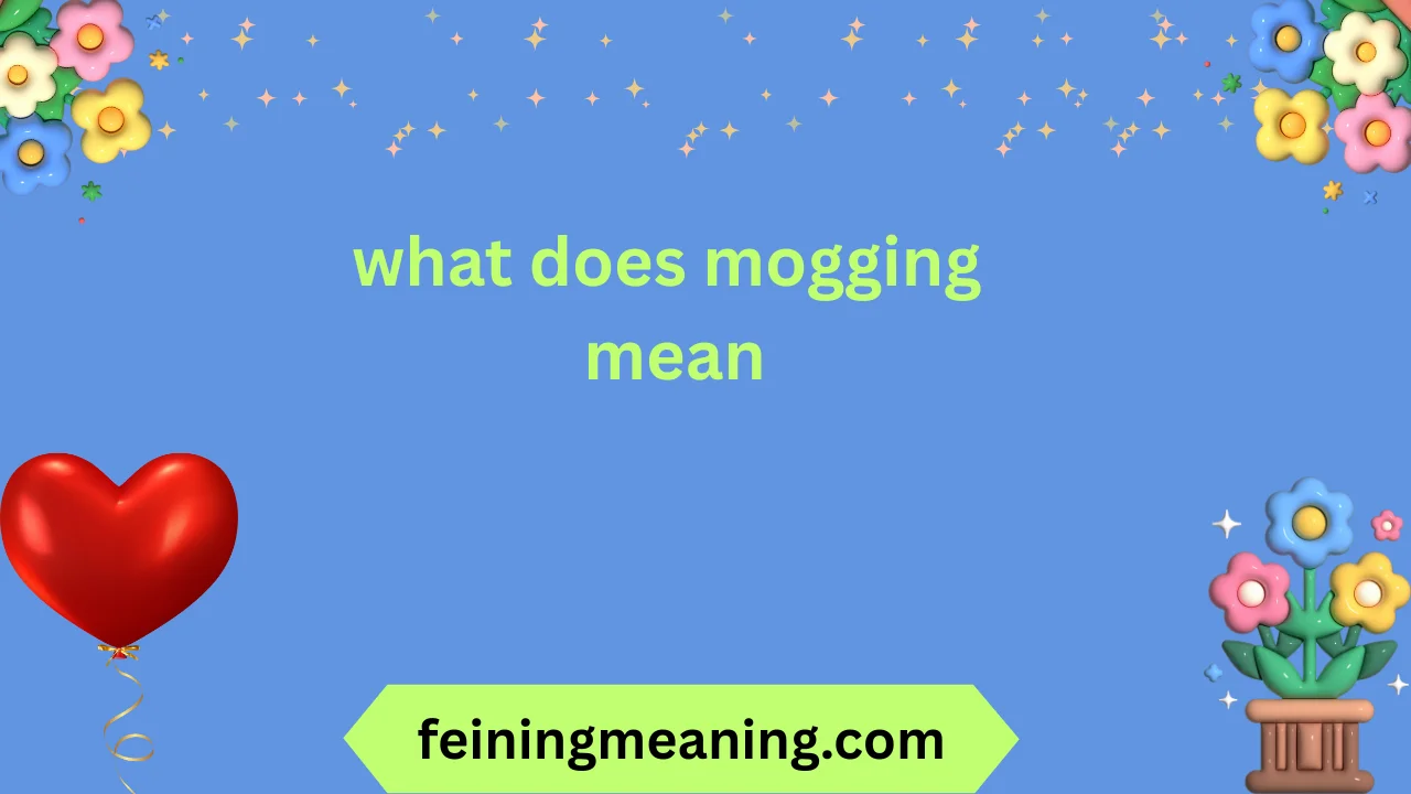 what does mogging mean