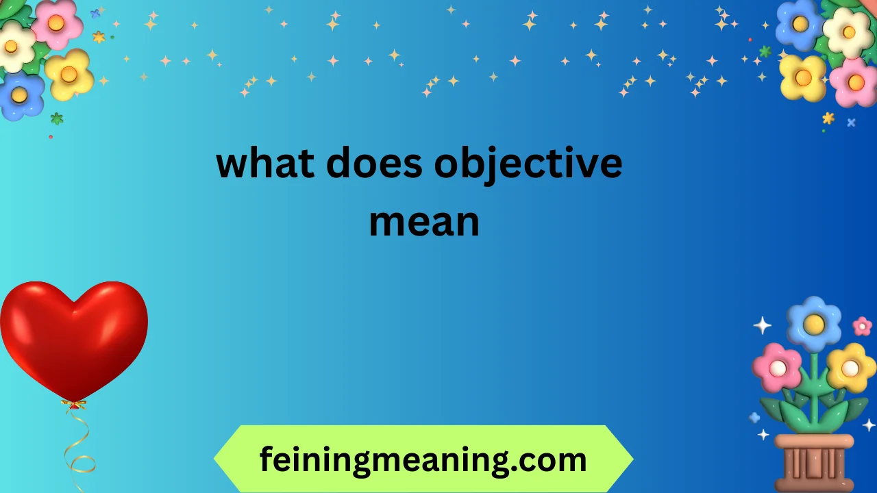 what does objective mean