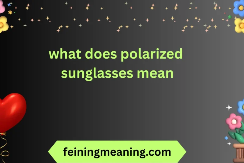 What Are Polarized Sunglasses? Explained 2026