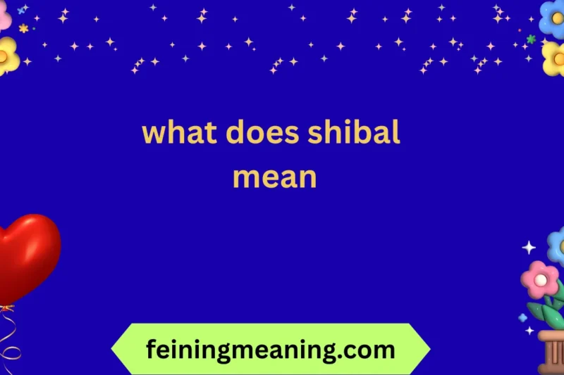 What Does Shibal Mean? Understanding the Term, Usage, and Cultural Context 🔥 2026