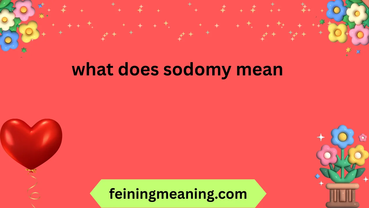 what does sodomy mean