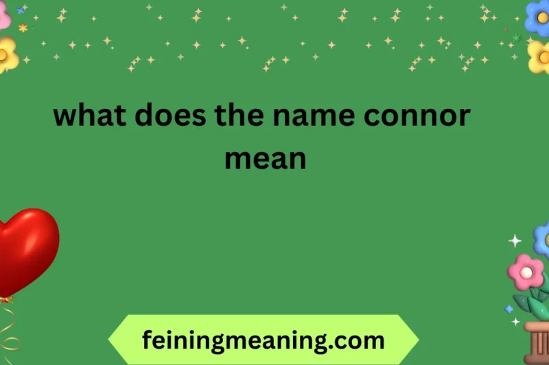 What Does the Name Connor Mean? Origins & Insights 2026