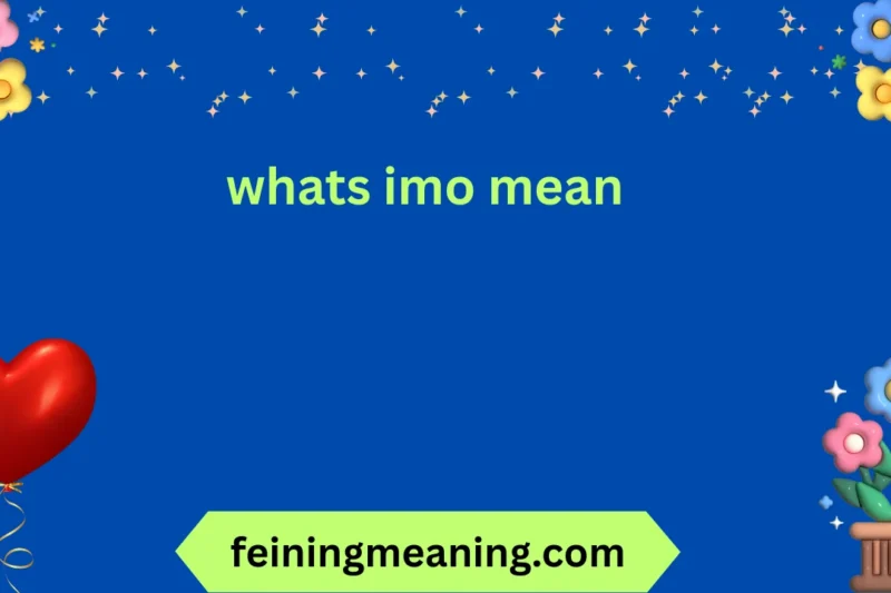 Whats IMO Mean? Explained Clearly 2026