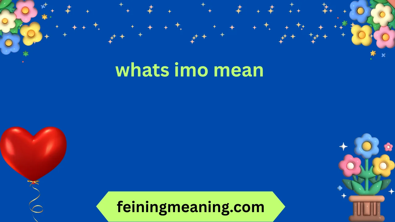 whats imo mean