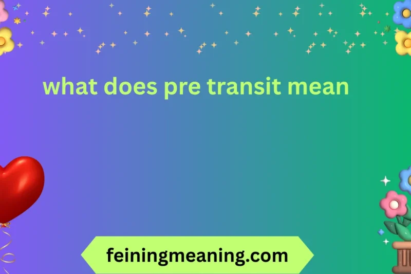 What Does Pre Transit Mean? 📦✨ 2026