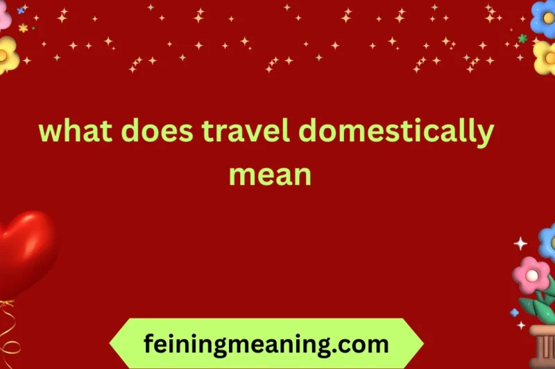 what does travel domestically mean