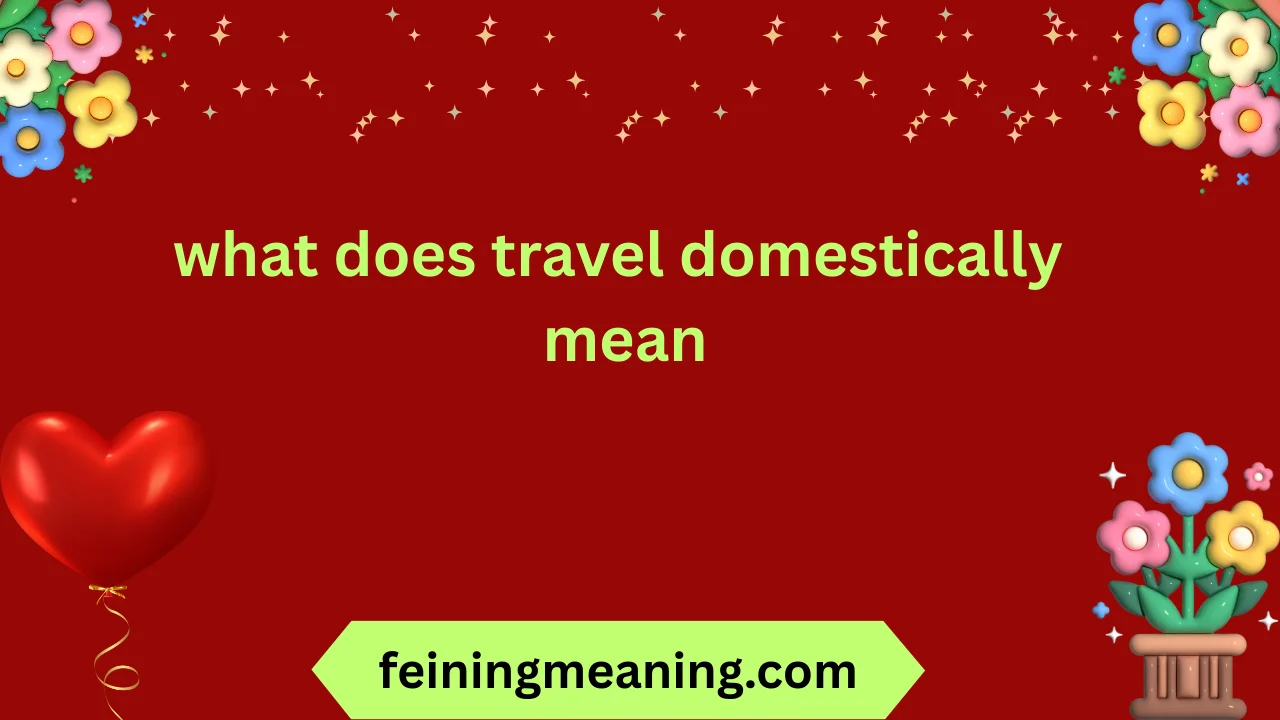 what does travel domestically mean