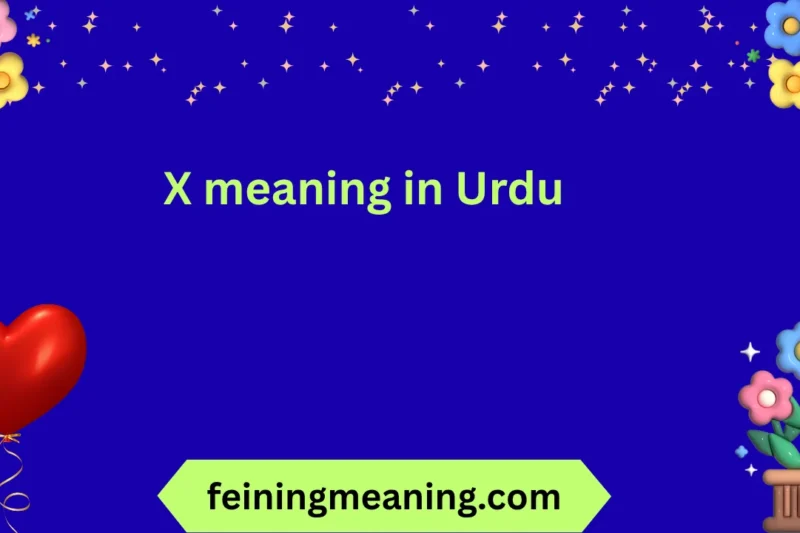 X meaning in Urdu